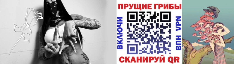 Псилоцибиновые грибы ЛСД Алушта